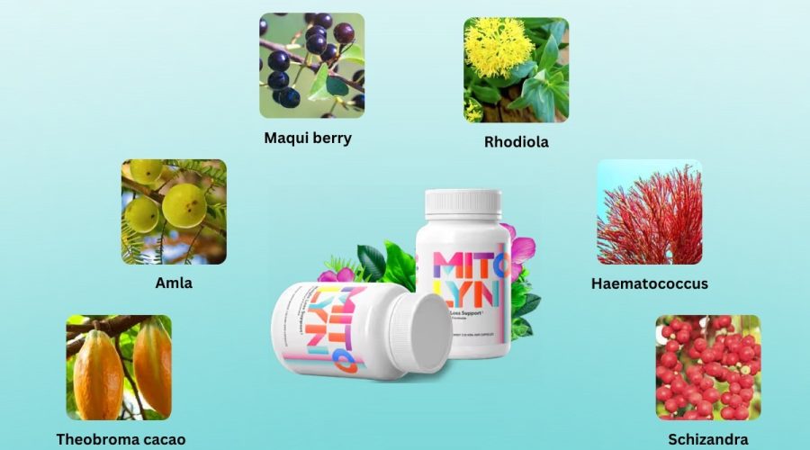 imgi_23_mitolyn-ingredients